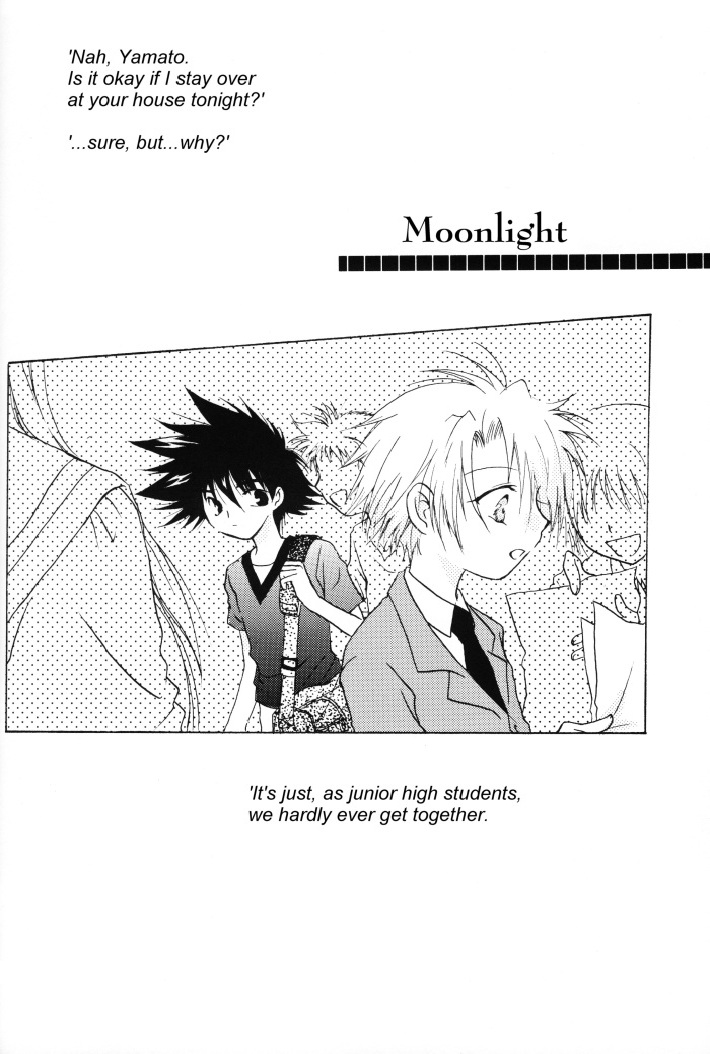 (SUPERKansai8) [SECTION E (Hirose Yukiya)] SUNSHINE and MOONLIGHT (Digimon Adventure 02) page 31 full