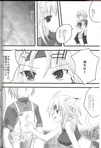 (C71) [AZA+ (Yoshimune)] Mithra ko Mithra 7 (Final Fantasy XI) - page 10