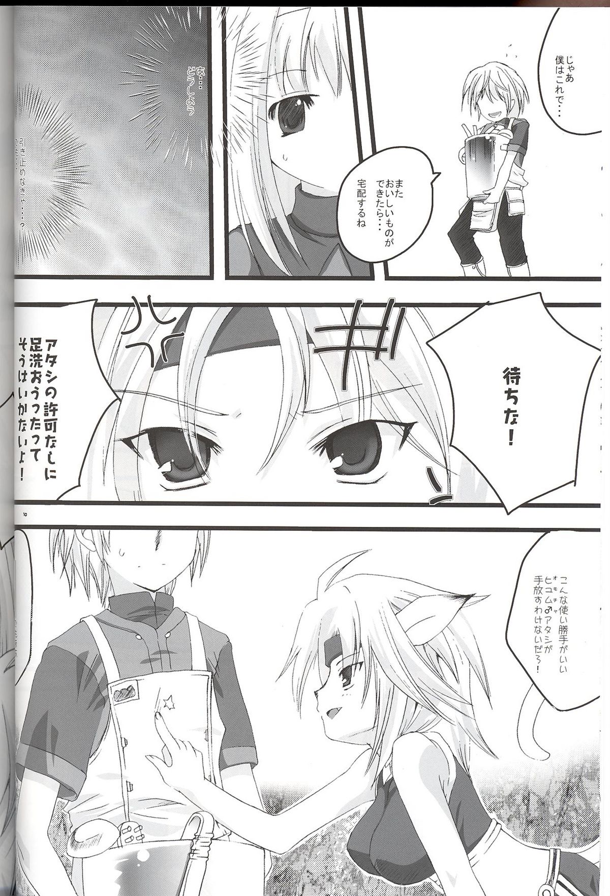 (C71) [AZA+ (Yoshimune)] Mithra ko Mithra 7 (Final Fantasy XI) page 10 full