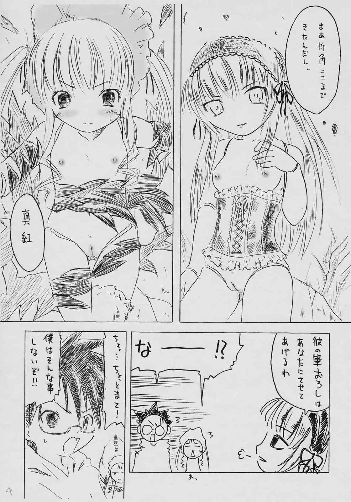 [SimpleClass (Shinozuki Kou)] Garakuta Hon. (Rozen Maiden) page 3 full