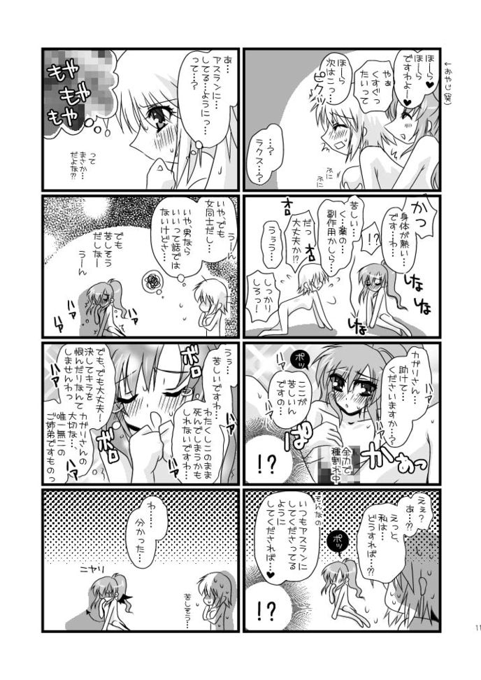 (C75) [Potosu Koubou (Chaa)] hororechuchuparero (Gundam SEED) page 11 full