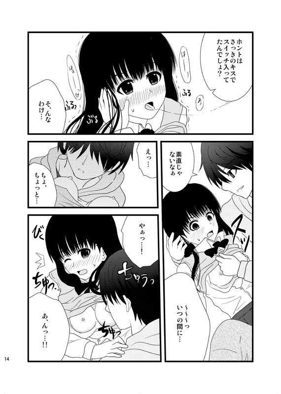 (C79) [GoAHHHH (Shitou)] Cohabitation Dousei-hen (Amagami) page 13 full