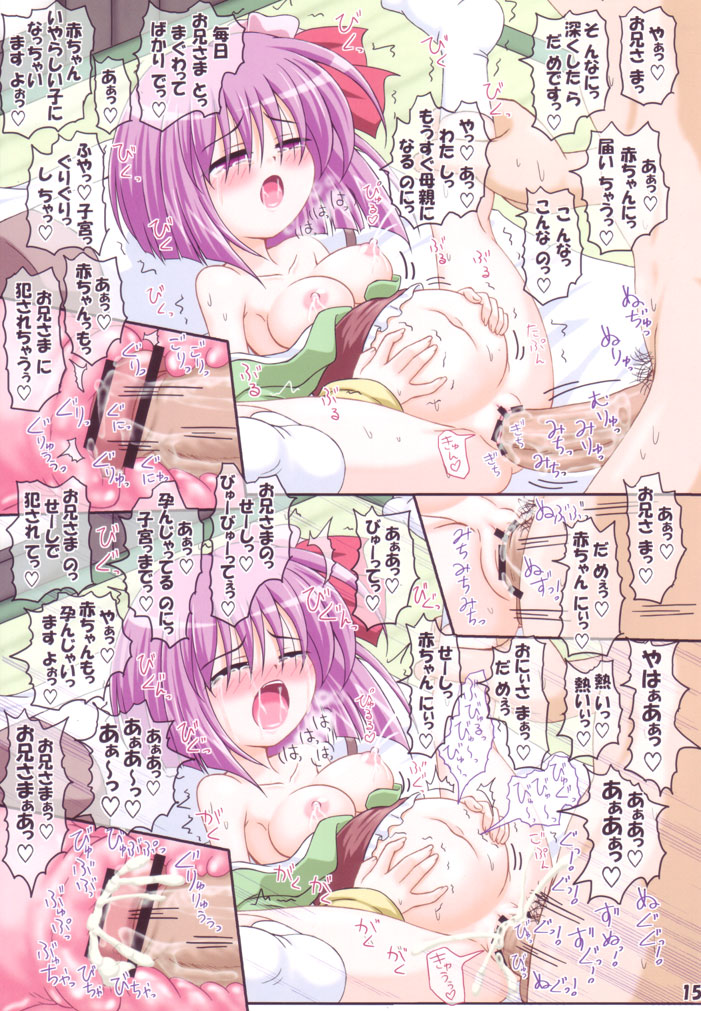 (Reitaisai 8) [Schwester (Inasaki Shirau)] Rollin 34 (Touhou Project) page 14 full