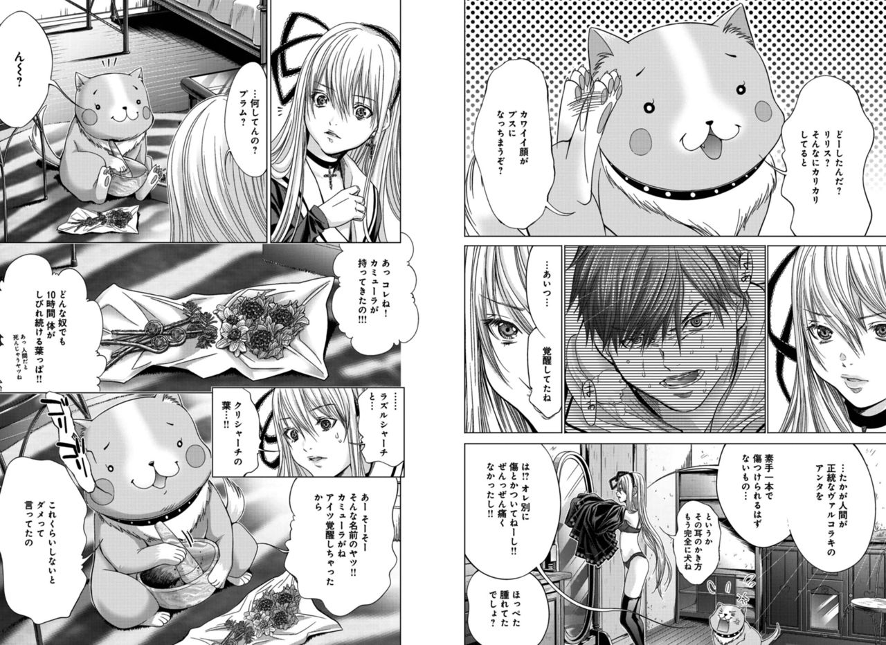 [Miyazaki Maya] Holy Knight ~Junketsu to Ai no Hazama de~ Vol. 4 page 31 full