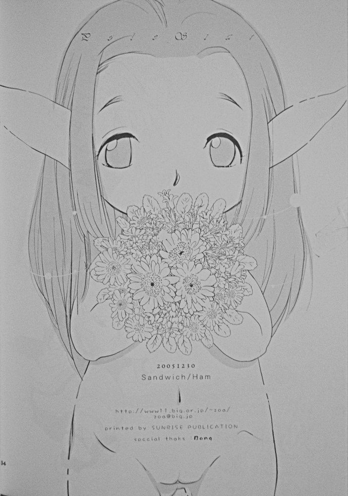 (C69) [Sandwich (Ham)] Polestar (Final Fantasy XI) page 31 full