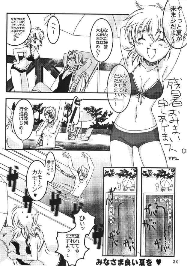 Kopigura ( Hellsing ) page 29 full