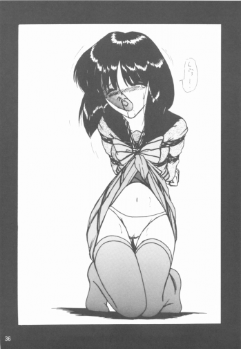 (C75) [Thirty Saver Street 2D Shooting (Maki Hideto, Sawara Kazumitsu)] Silent Saturn SS vol. 11 (Bishoujo Senshi Sailor Moon) - page 35