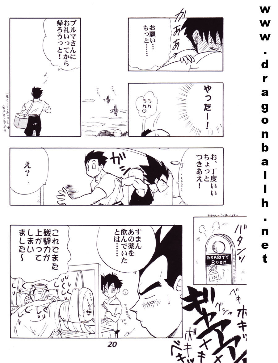 (C52) [Fusuma Goten (Shouji Hariko)] Irohani (Dragonball Z) page 20 full