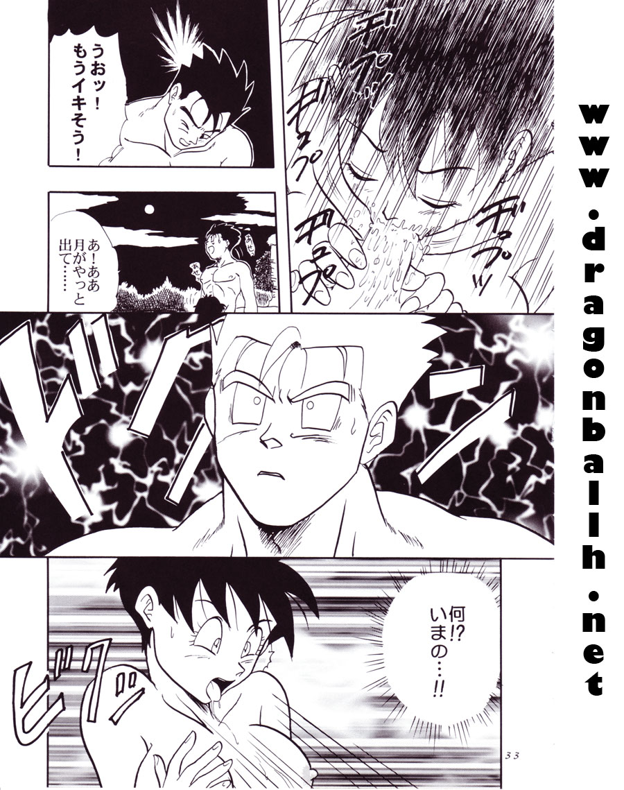 (C54) [Chirigami Goya, Fusuma go Ten (Shoji Hariko)] Tirinuruwo (DRAGON BALL) page 33 full