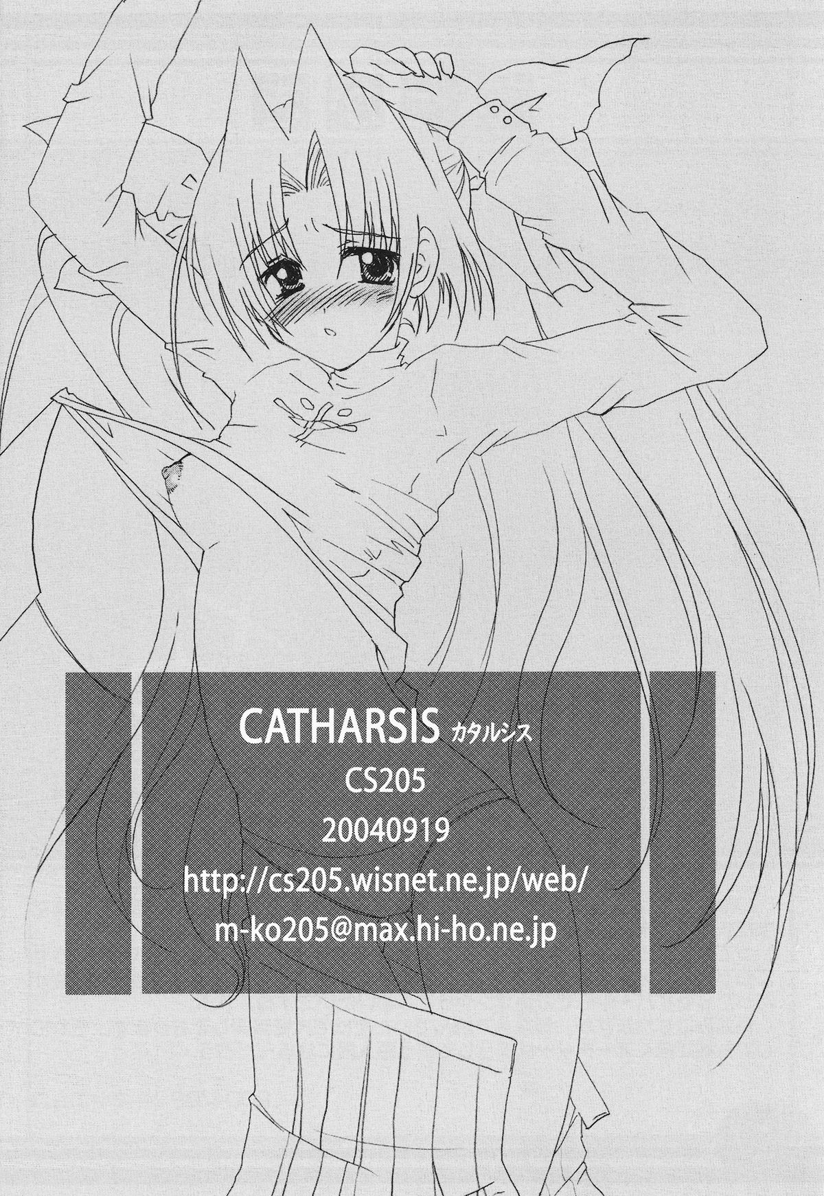 (SC25) [CS205 (Kineya Emuko)] CATHARSIS (Fate/stay night) page 20 full