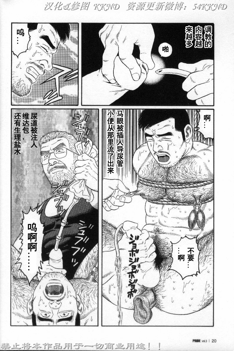 [Tagame Gengoroh] PRIDE Vol. 3 [Chinese] page 13 full