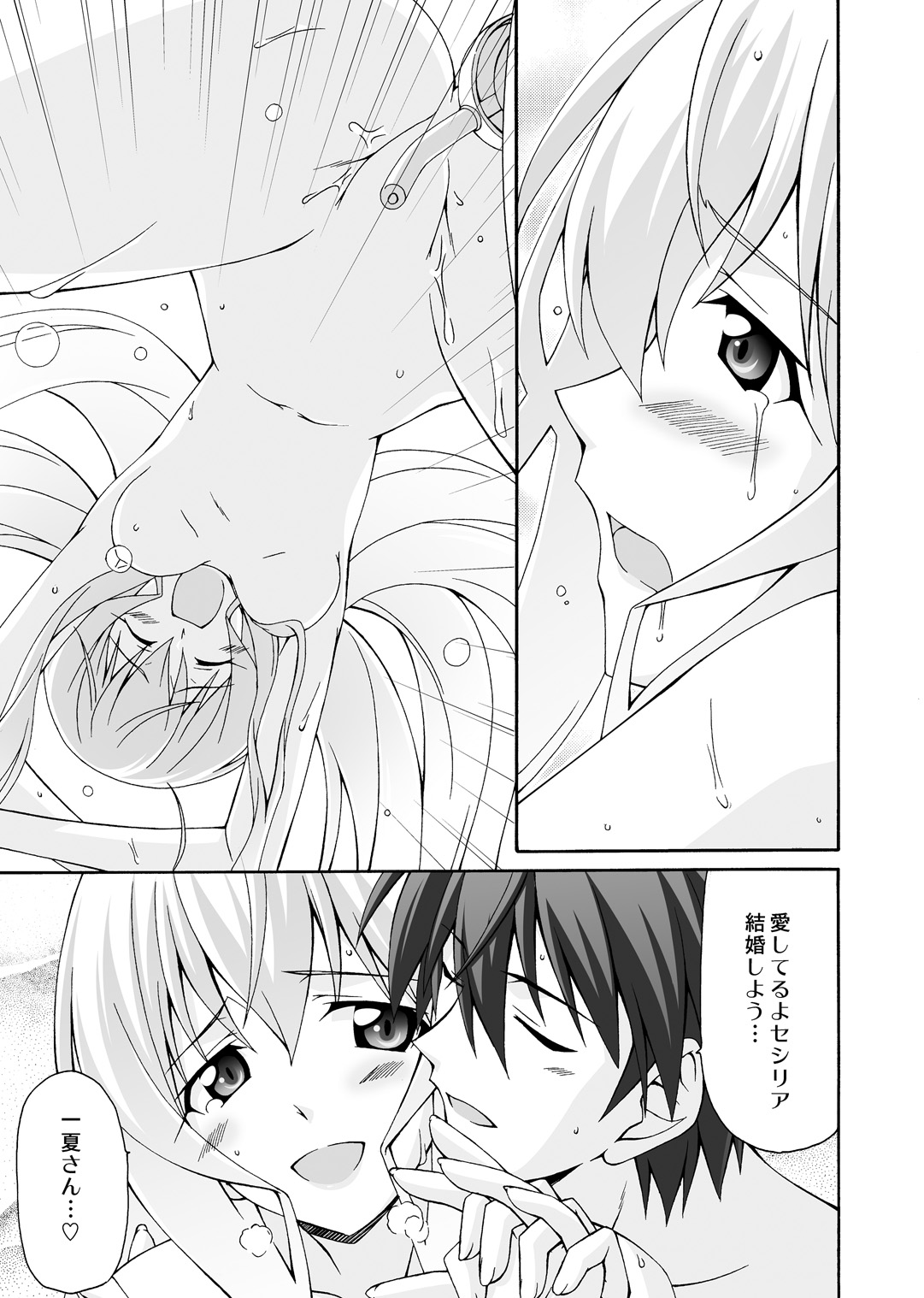 [Narashino Kaitoudan (Musasiya Chogenbo)] Cecilia wa Ichika-san no Oyome-san! (IS <Infinite Stratos>) [Digital] page 16 full