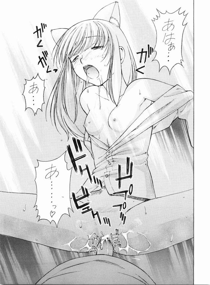 (C67) [Sanazura Doujinshi Hakkoujo (Sanazura Hiroyuki)] Nekomimi Fate (Fate/stay night) page 20 full