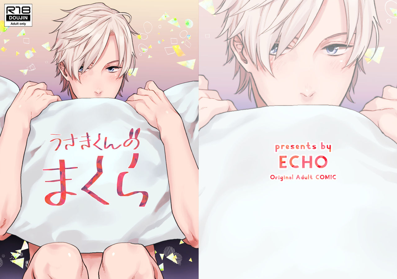 [ECHO (Echo Jiro)] Usakikun no makura page 1 full