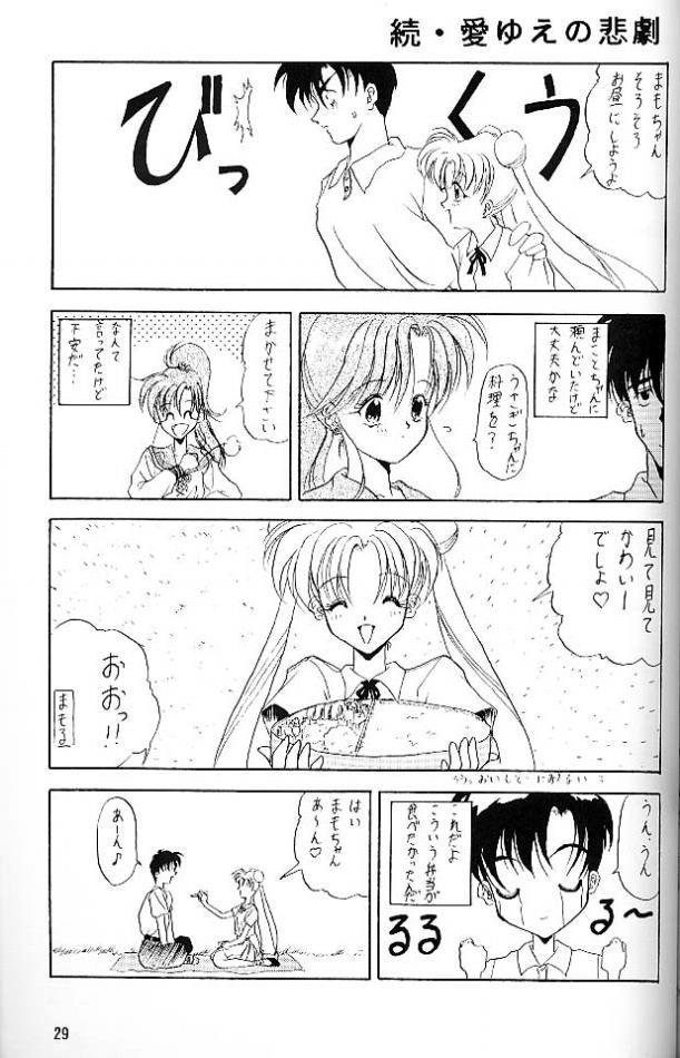 (C45) [Chou-Cream-Sunday (Minakami Hiroki)] C'est La Moon (Bishoujo Senshi Sailor Moon) page 28 full