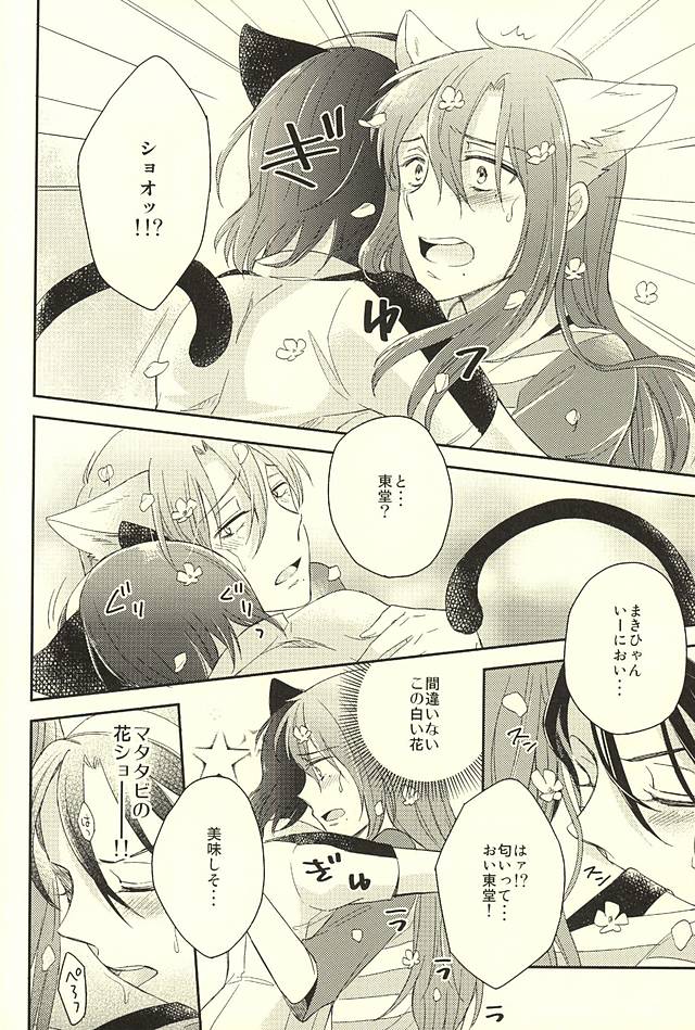 (Zenkai Cadence 6) [stardrops (supi)] MOUNTING+ (Yowamushi Pedal) page 18 full