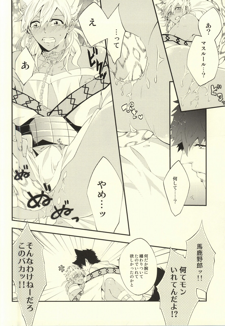 (C81) [Harugano (Harugano Kaoru)] Kemomimi! (Magi: The Labyrinth of Magic) page 14 full