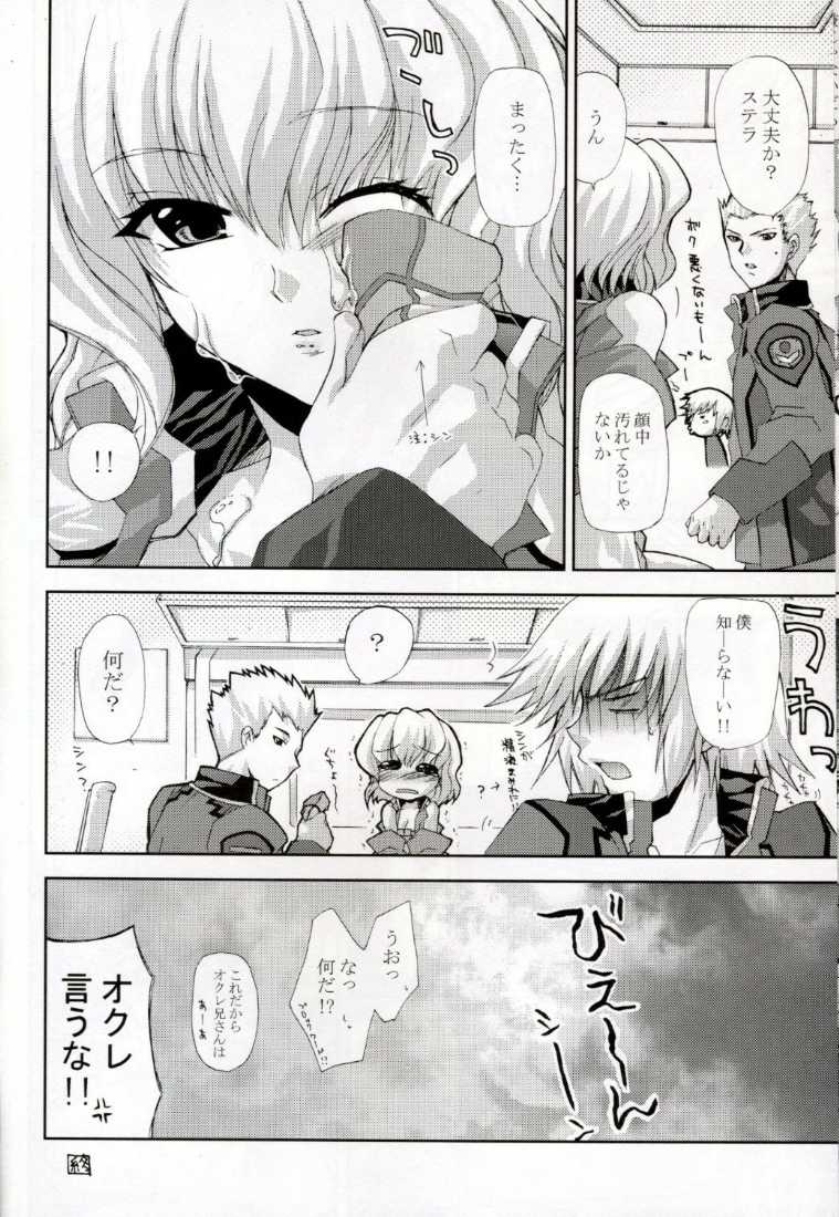 [FANTASY WIND] L-S (Kidou Senshi Gundam Seed Destiny) page 13 full