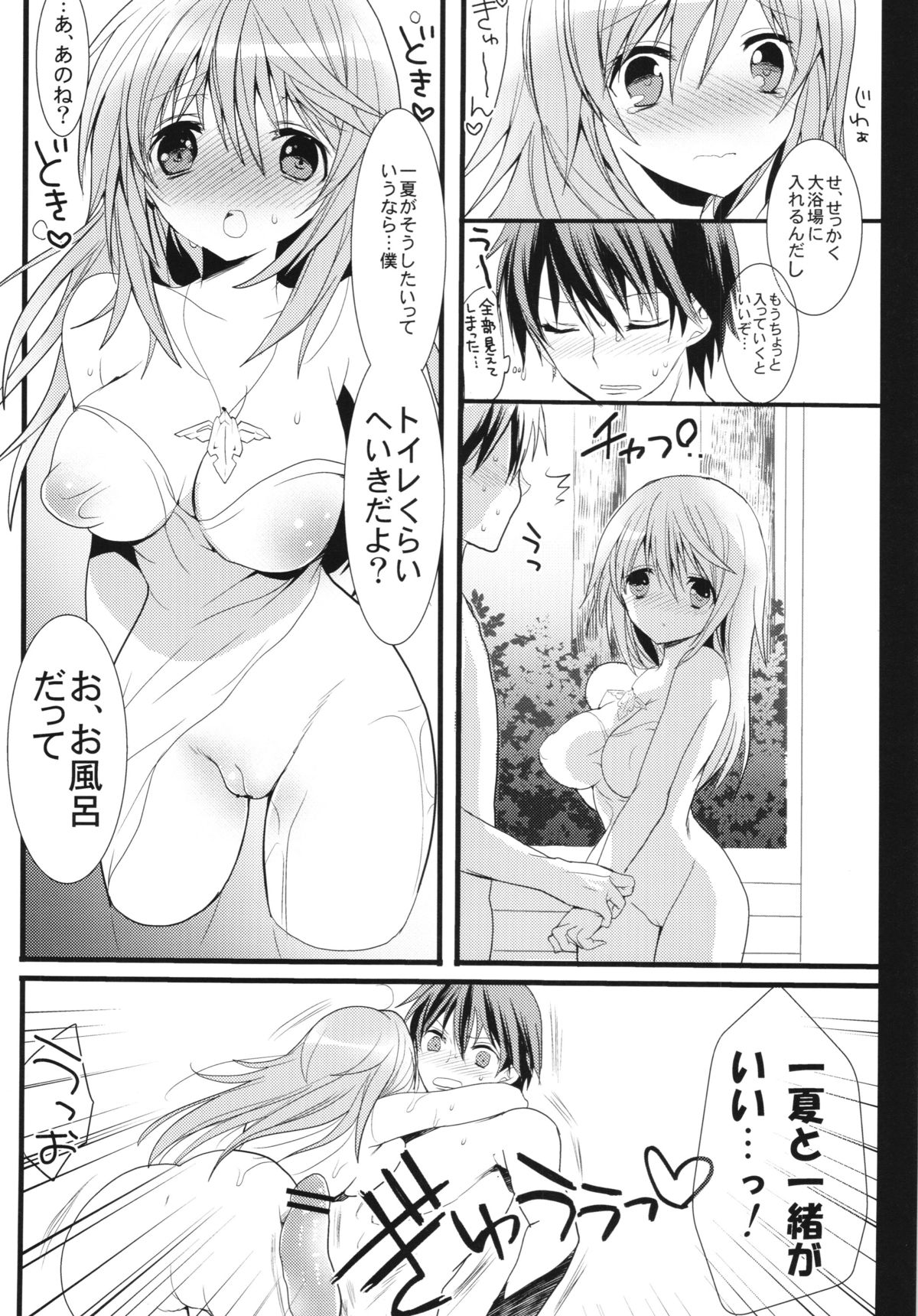 (C81) [Otona Shuppan (Hitsuji Takako)] Infinite ☆ Seicross 2 (IS <Infinite Stratos>) page 17 full