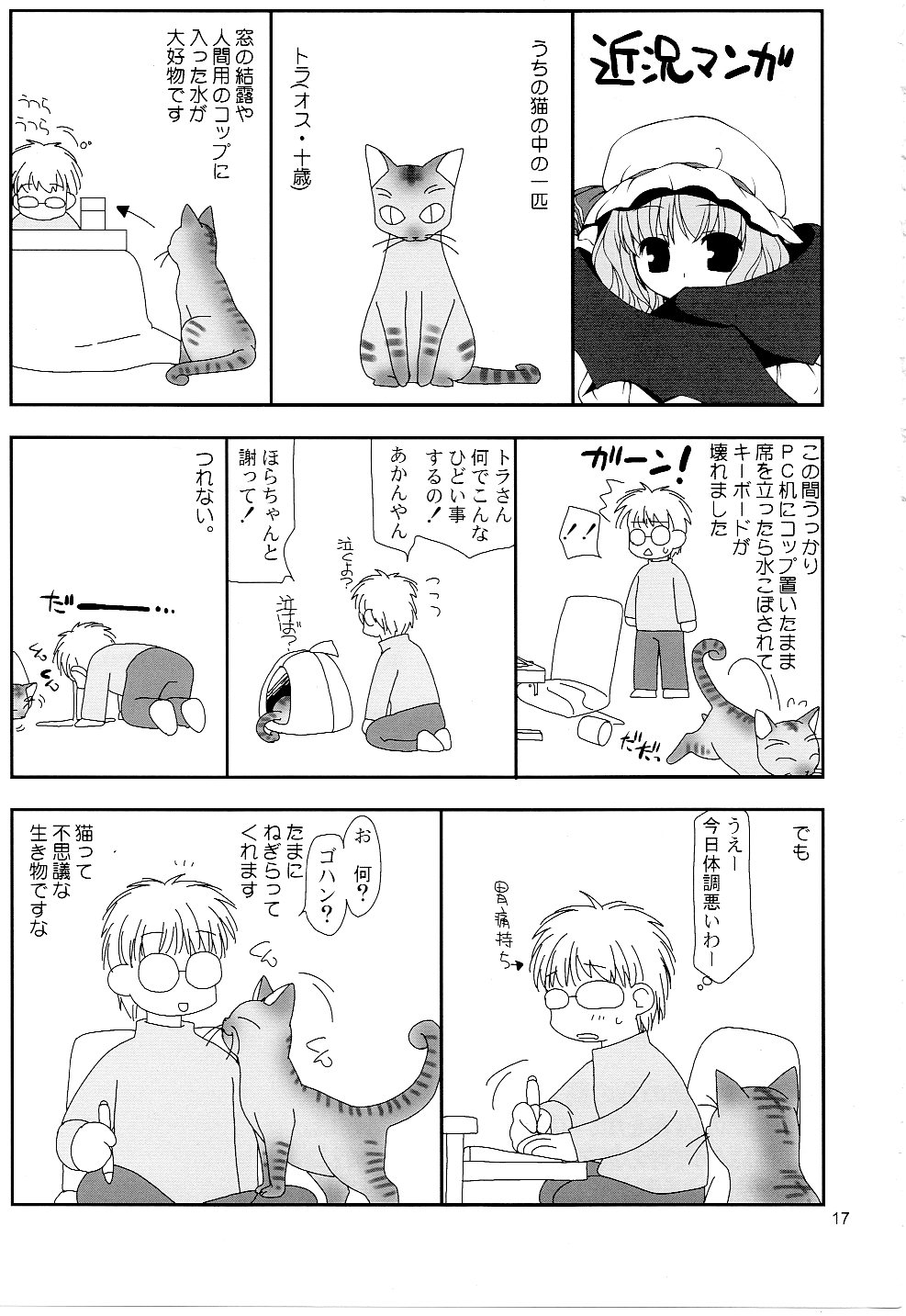 (COMIC1☆3) [Nagasaki-Inter (Sou Akiko)] Touhou Intoukyou (Touhou Project) page 17 full