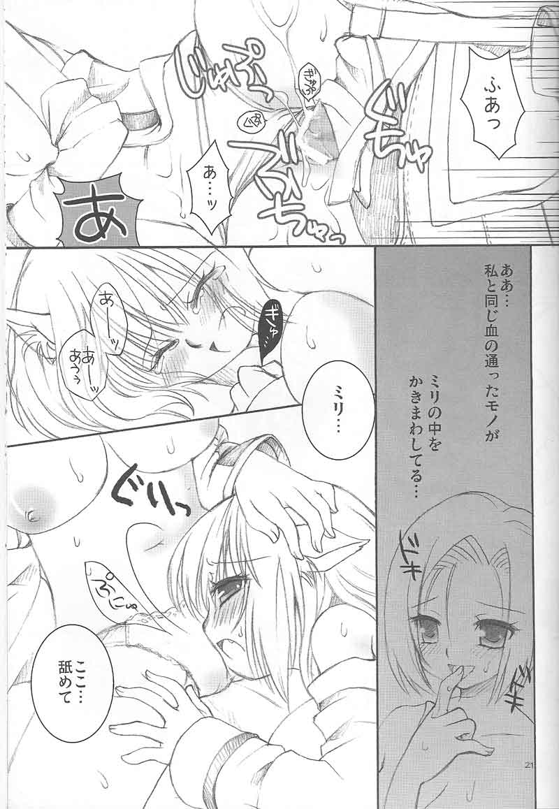 (C73) [chaotic_prism (Asato)] Fuusui Inoshishi (Final Fantasy XI) page 20 full