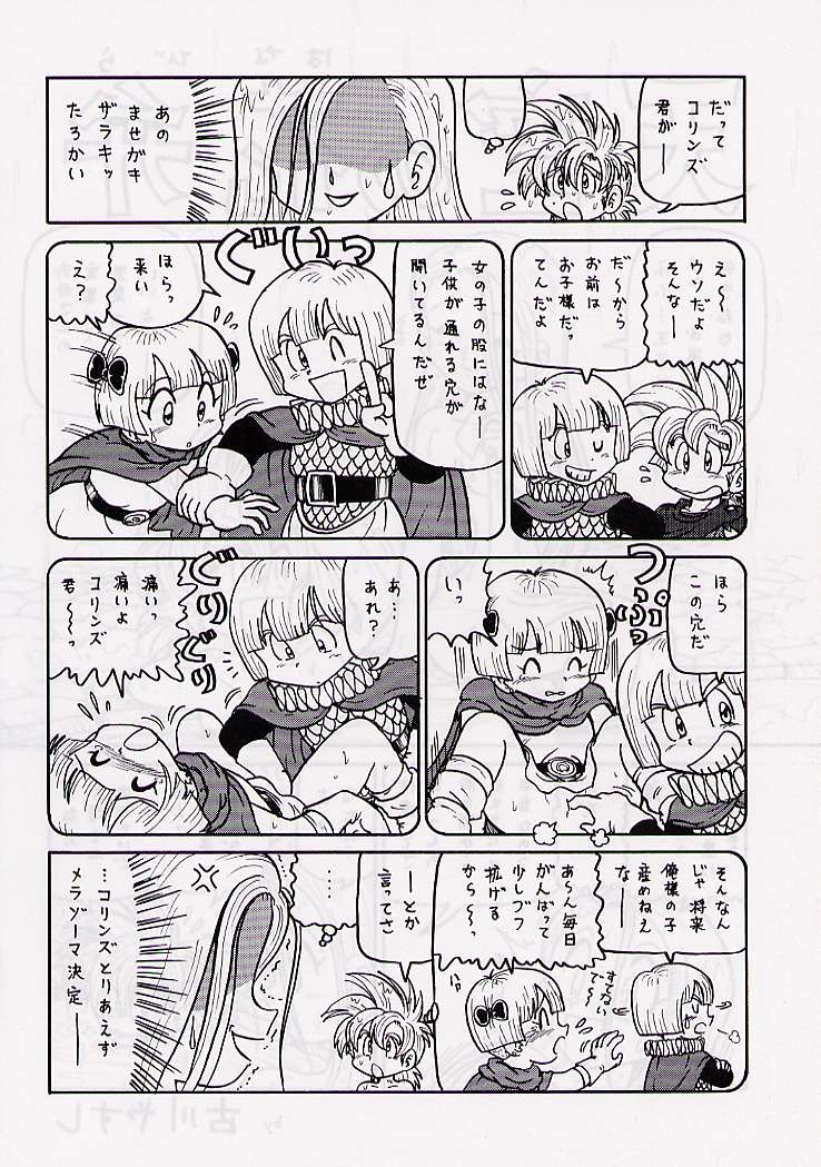 (C57) [GADGET (Various)] DRAGONQUEST nirvana (Dragon Quest) page 39 full