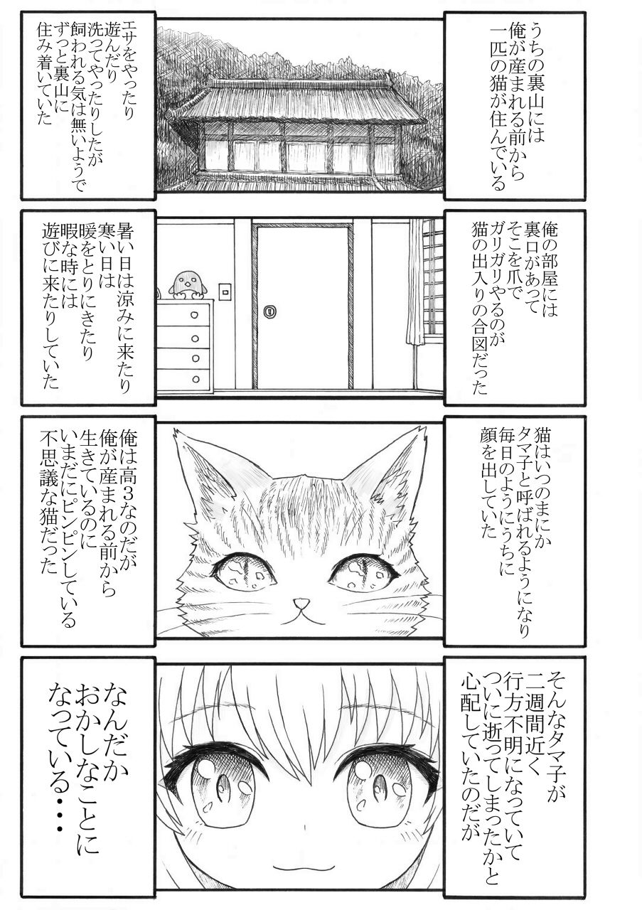 [みつぷりん] 化け猫の恩の返し方 page 2 full