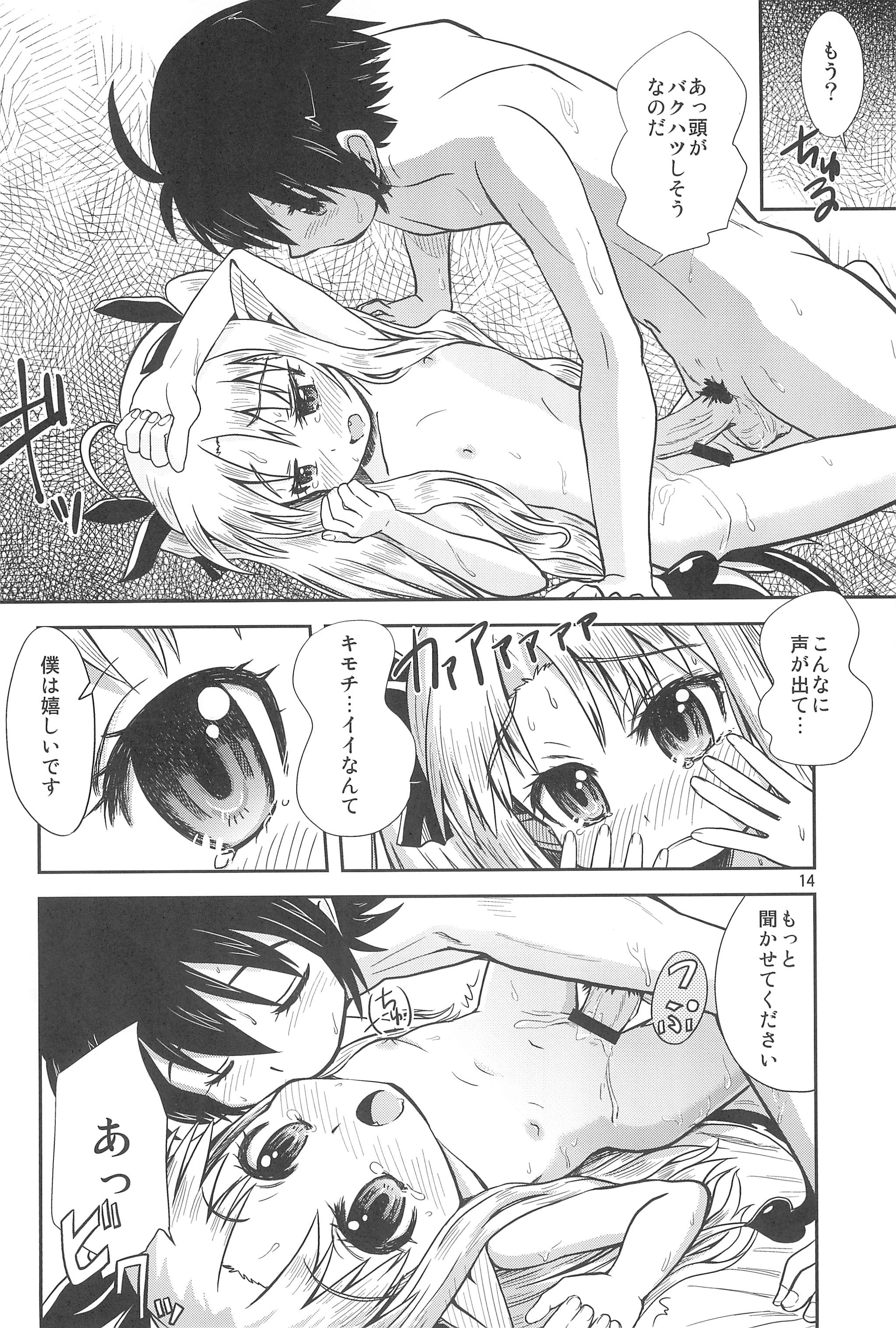 (C80) [Millions Hope (Tatsuoka Miyoshi)] Lotte no Hajimete! (Lotte no Omocha!) page 14 full