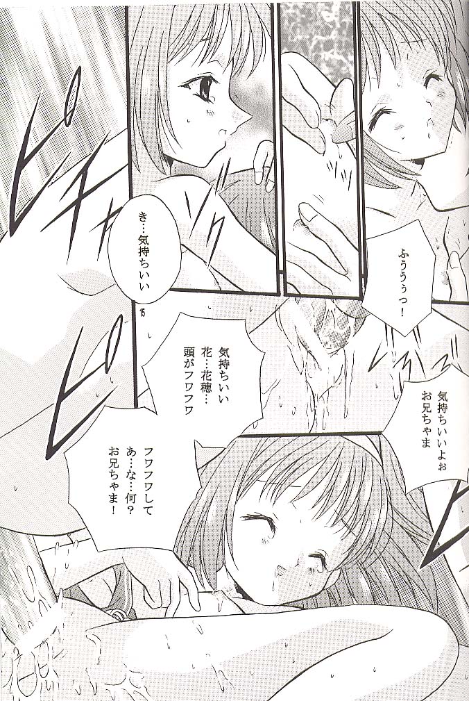 (C60) [Hiyotama Goten (Nagase Yutaka)] Check It! (Sister Princess) page 14 full