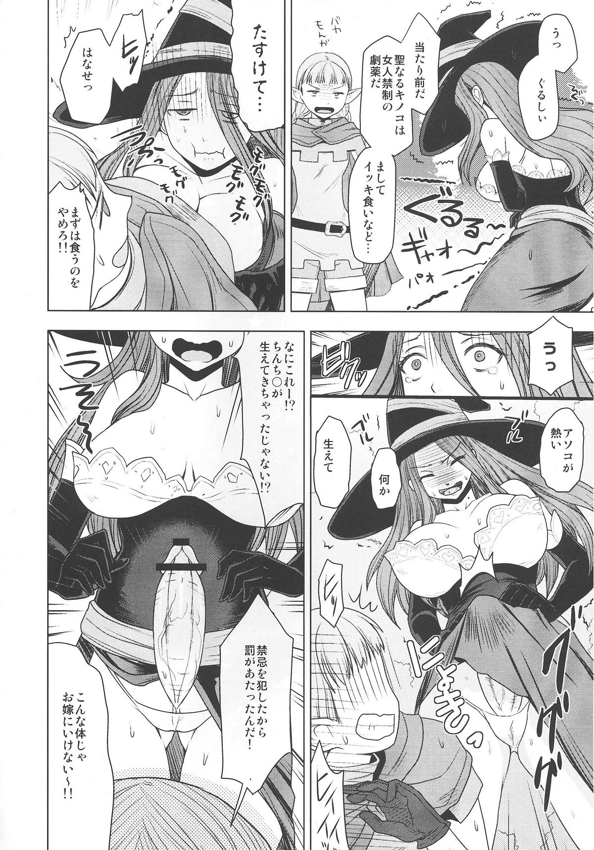 (C80) [Toluene Ittokan (Pierre Norano, Shinagawa Ham)] Ketsu! Megaton DC (Dragon's Crown) page 6 full