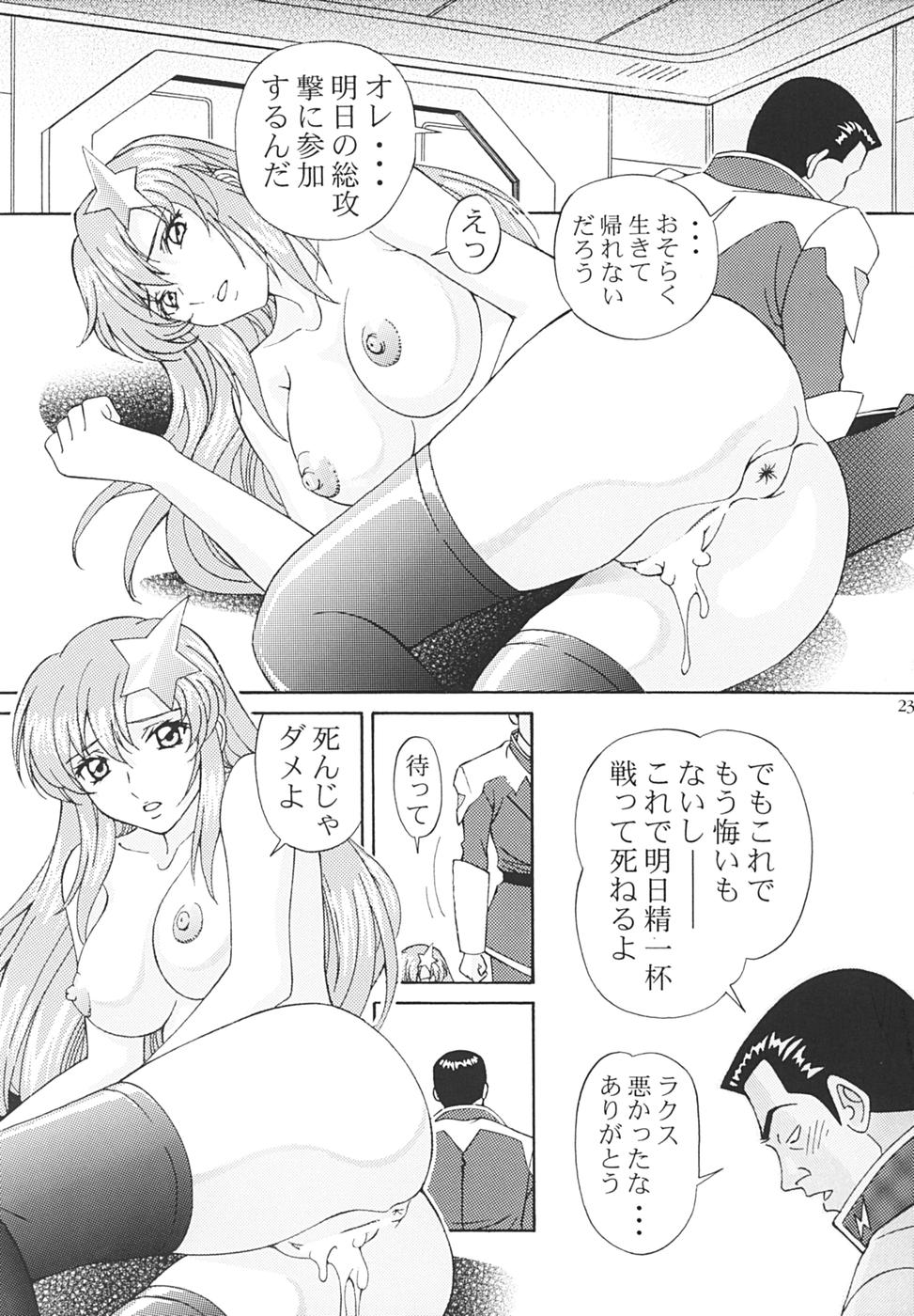 [SHIMEKIRI SANPUNMAE (Tukimi Daifuku)] Ryoujoku MEER (Mobile Suit Gundam SEED DESTINY) page 22 full