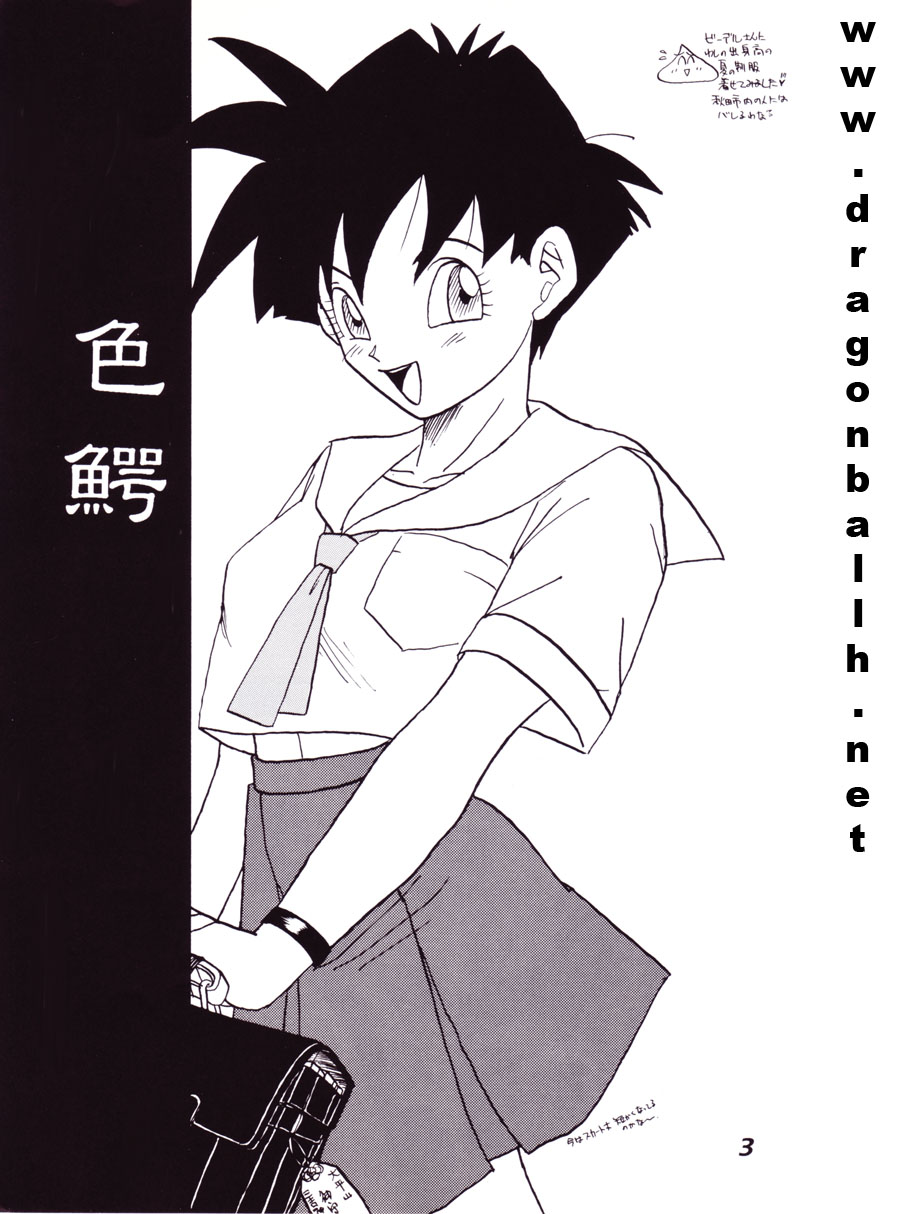 (C52) [Fusuma Goten (Shouji Hariko)] Irohani (Dragonball Z) page 3 full