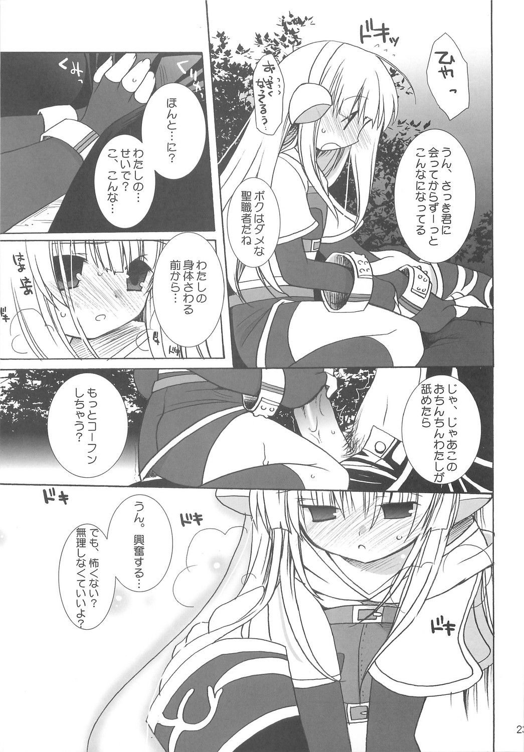 (C66) [Kimpotsu, Shishamo House (Araki Akira, Araki Kanao)] RAG-PETA (Ragnarok Online) page 22 full