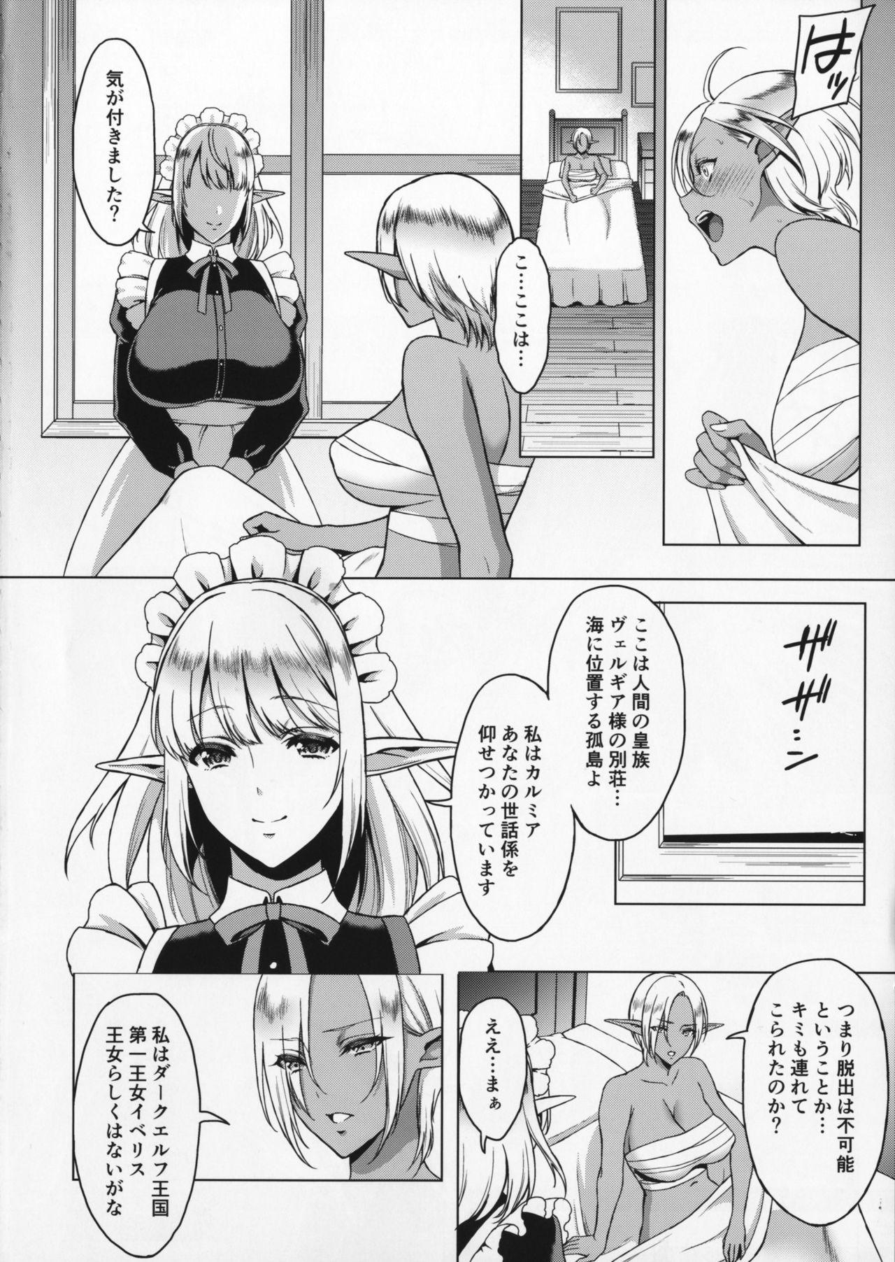 (C91) [H.B.A (Usagi Nagomu)] Reizoku Elf Maid + C91 Kaijou Genteibon page 3 full