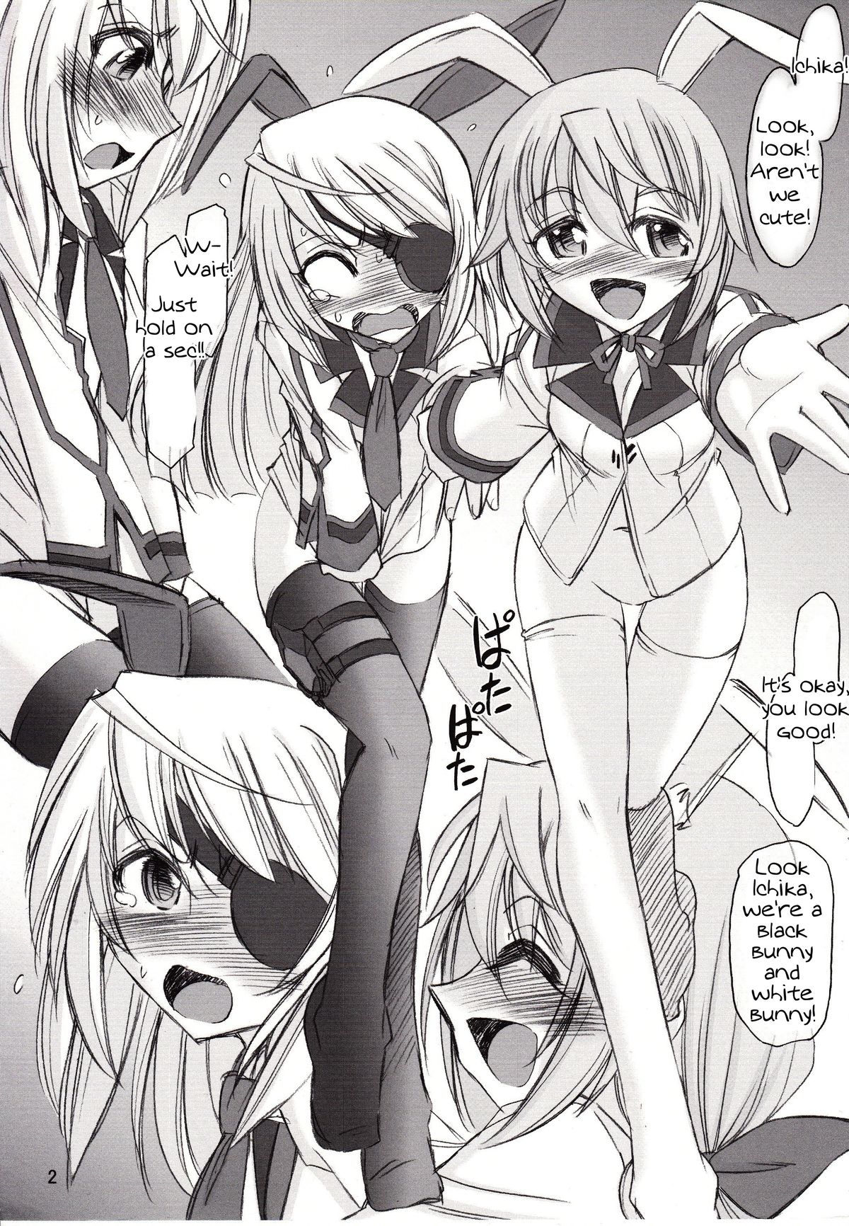 (C81) [EINSATZ GRUPPE {Charlie Nishinaka)] Black & White (IS <Infinite Stratos>) [English] [Tigoris Translates] page 3 full