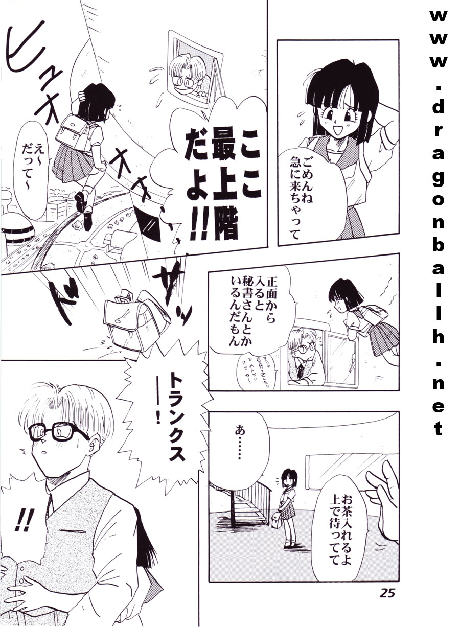 (C52) [Fusuma Goten (Shouji Hariko)] Irohani (Dragonball Z) page 25 full