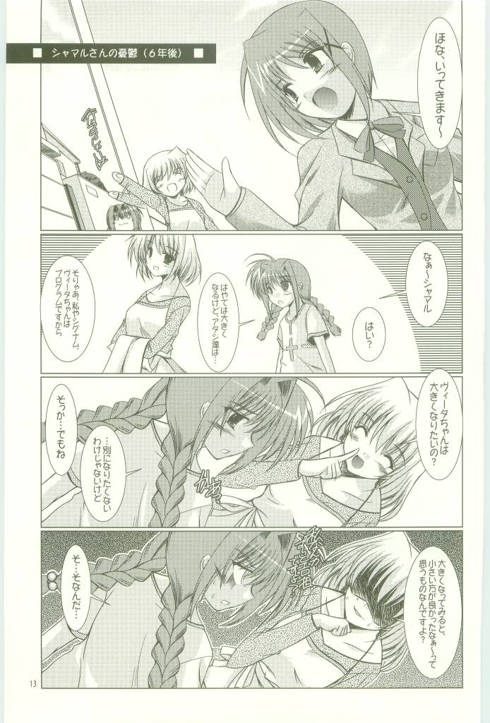 [EL HEART'S, Suirankaku (Ibuki Pon)] BORDER LINE (Mahou Shoujo Lyrical Nanoha) page 13 full