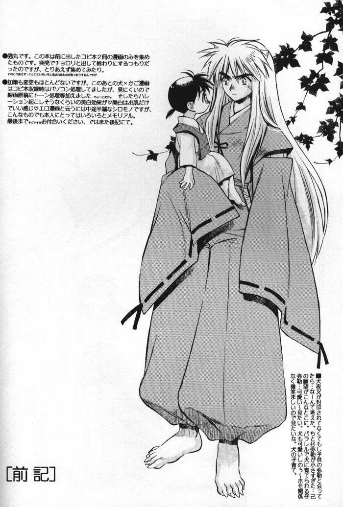 (C61) [Nekomarudou Honpo (Nekomaru)] Inuyasha Doku Hon (Sengoku Otogizoushi Inuyasha) page 3 full