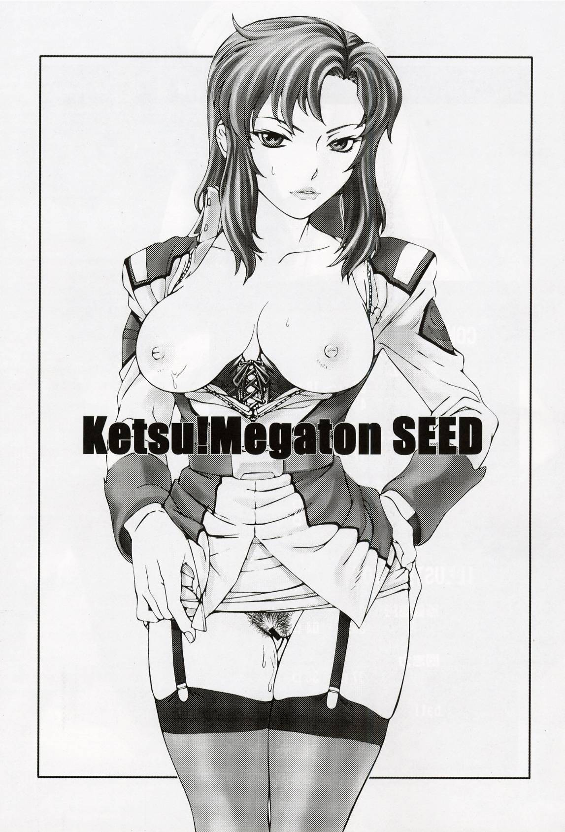 (C64) [Toluene Ittokan (Pierre Norano, Shinagawa Ham)] Ketsu Megaton Seed (Gundam Seed) [Chinese] 【零食汉化组】 page 3 full