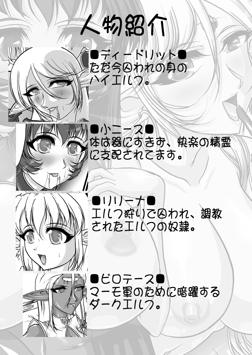 [SLW (Q1)] Aidorei  Elf Senki 2 (Record of Lodoss War) [Digital] page 3 full
