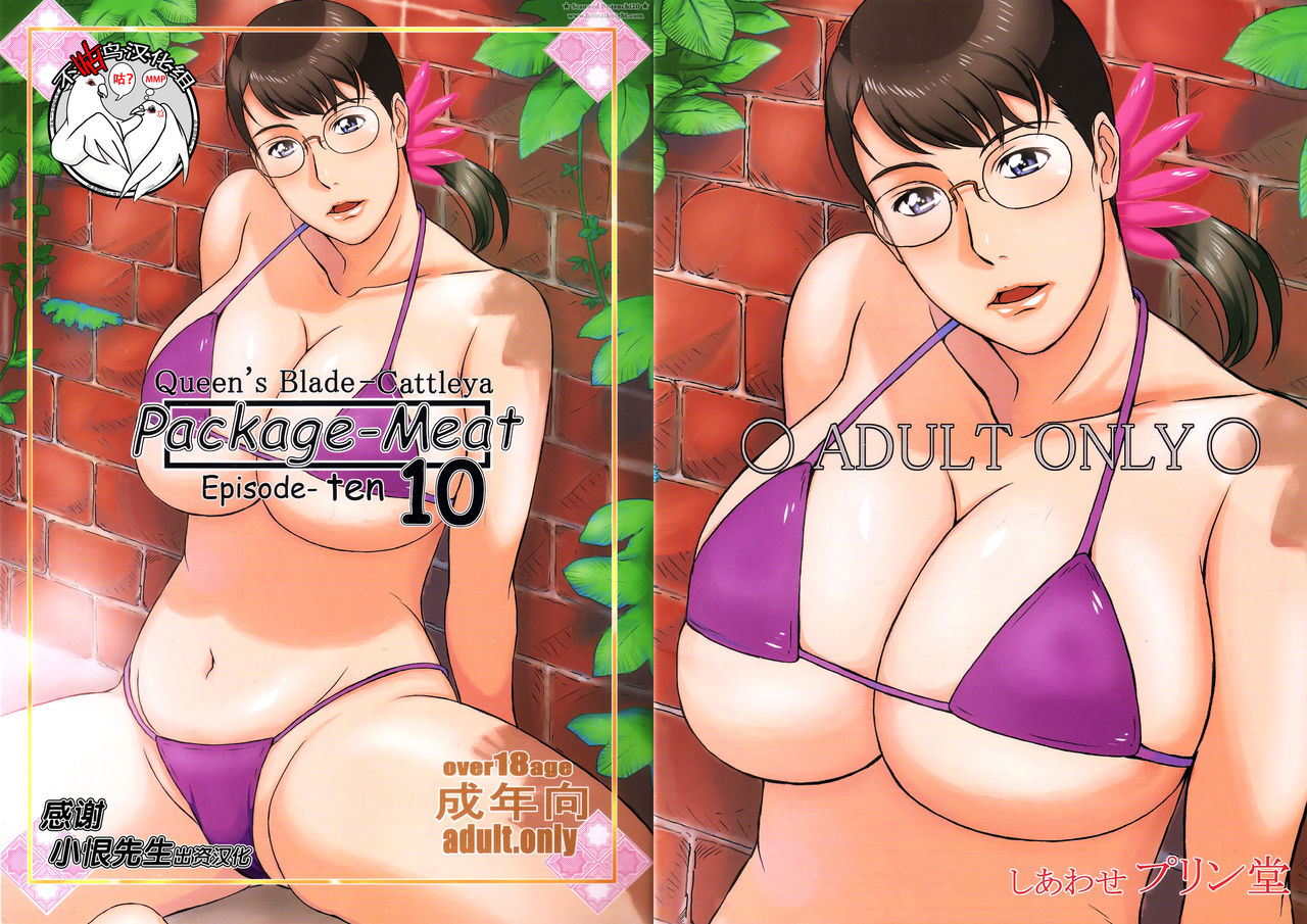 (C84) [Shiawase Pullin Dou (Ninroku)] Package Meat 10 (Queen's Blade) [Chinese] [不咕鸟汉化组] page 1 full