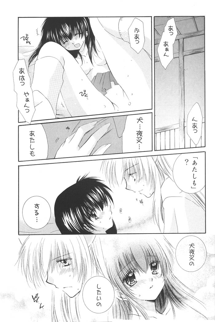 (C68) [Sakurakan (Seriou Sakura)] Honey Honey (Inuyasha) page 14 full