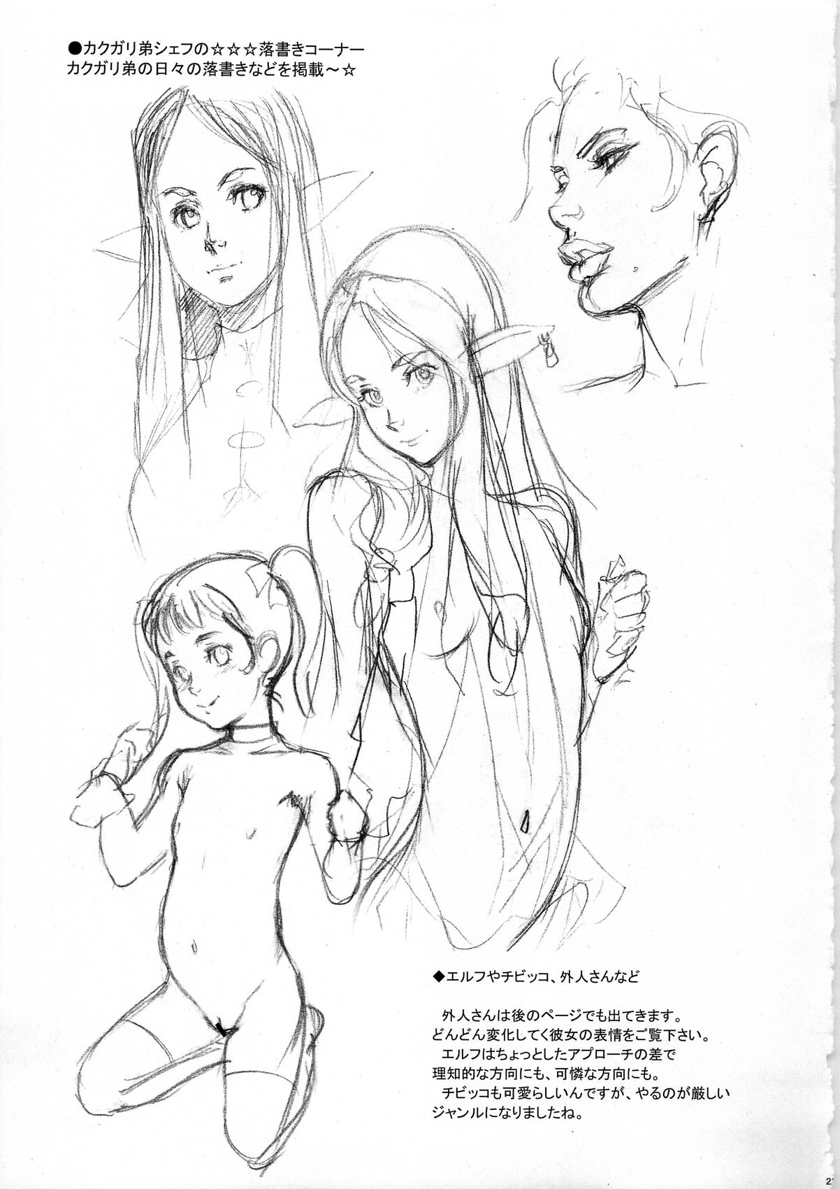 (C79) [Niku Ringo (Kakugari Kyoudai)] Nippon Impossible 2 (Street Fighter) page 23 full