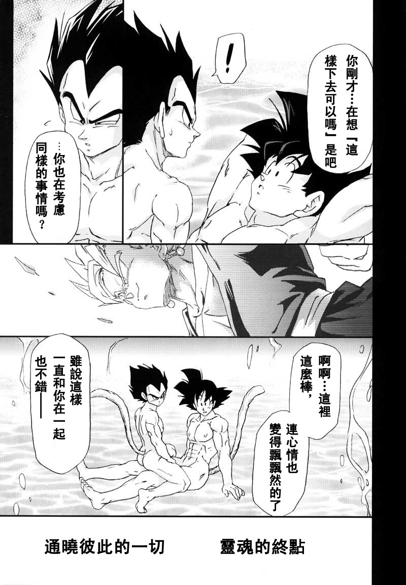 [Dokugunryu (Komakawa Rimi)] MONSTRUO (Dragon Ball Z) [Chinese] page 7 full