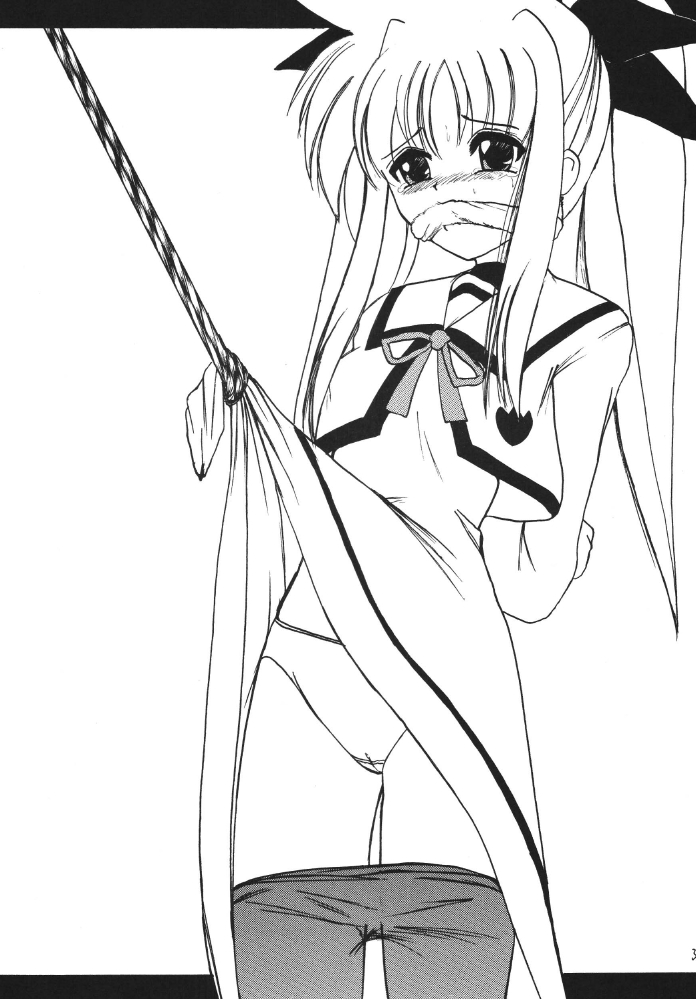 [Thirty Saver Street 2D Shooting] Storage Ignition (Mahou Shoujo Lyrical Nanoha / Magical Girl Lyrical Nanoha) page 31 full
