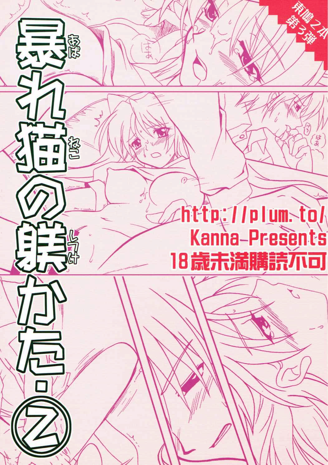 (C68) [PLUM (Kanna)] Abareneko no Shitsukekata 2 (ToHeart2) page 26 full