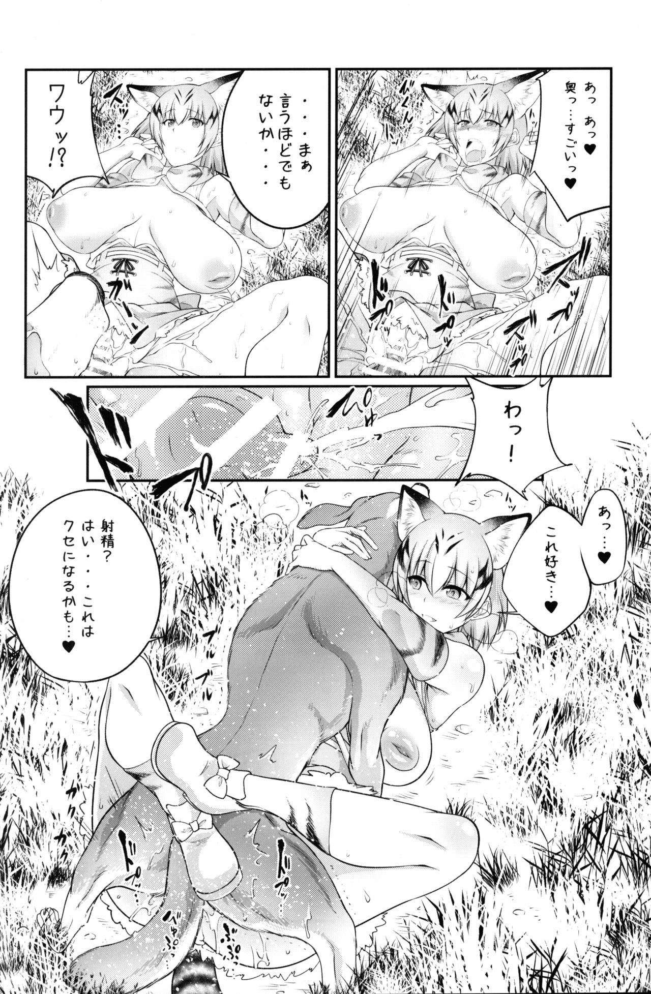 (COMIC1☆11) [Zensoku Rider (Tenzen Miyabi)] Juukan Friends (Kemono Friends) page 11 full