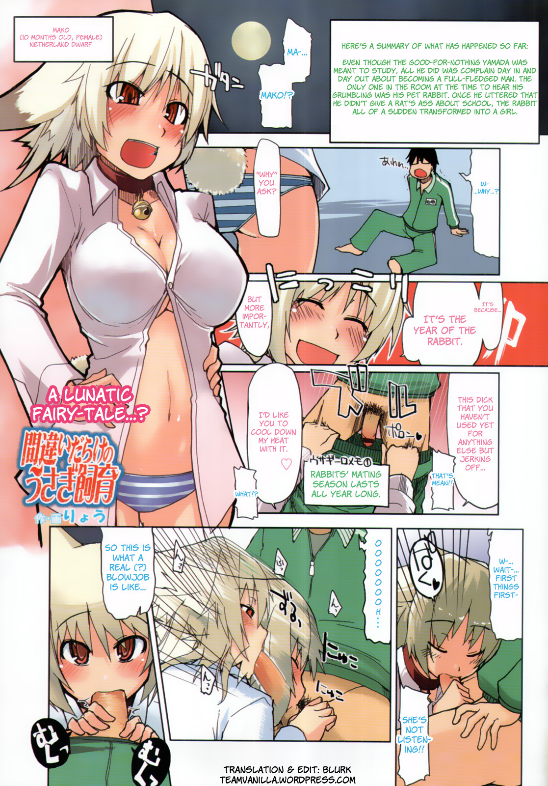 [Ryou] Machigai Darake no Usagi Shiiku | You're Doing It Wrong! (COMIC Tenma 2011-03) [English] =Team Vanilla= page 1 full