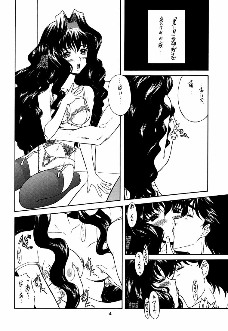 (C60) [Fukumaden (Ohkami Tomoyuki)] Yatagarasu BURST (Gunparade March) page 3 full