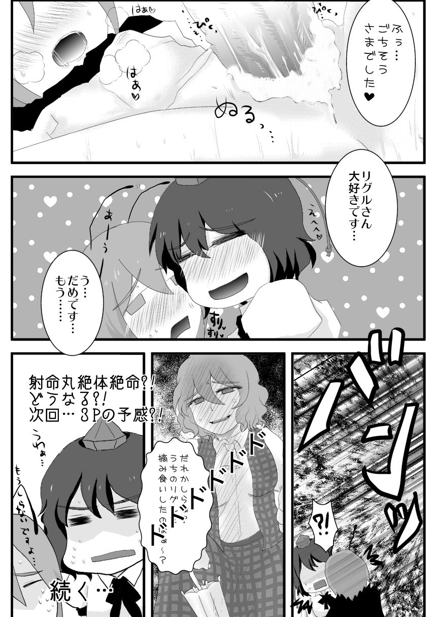 [Hyappo Hissatsu (Nodoka)] Karasu wa Mushi ga Daikoubutsu no you desu (Touhou Project) [Digital] page 13 full